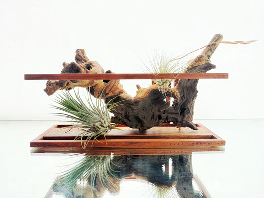 AirBonsai - Horizontal