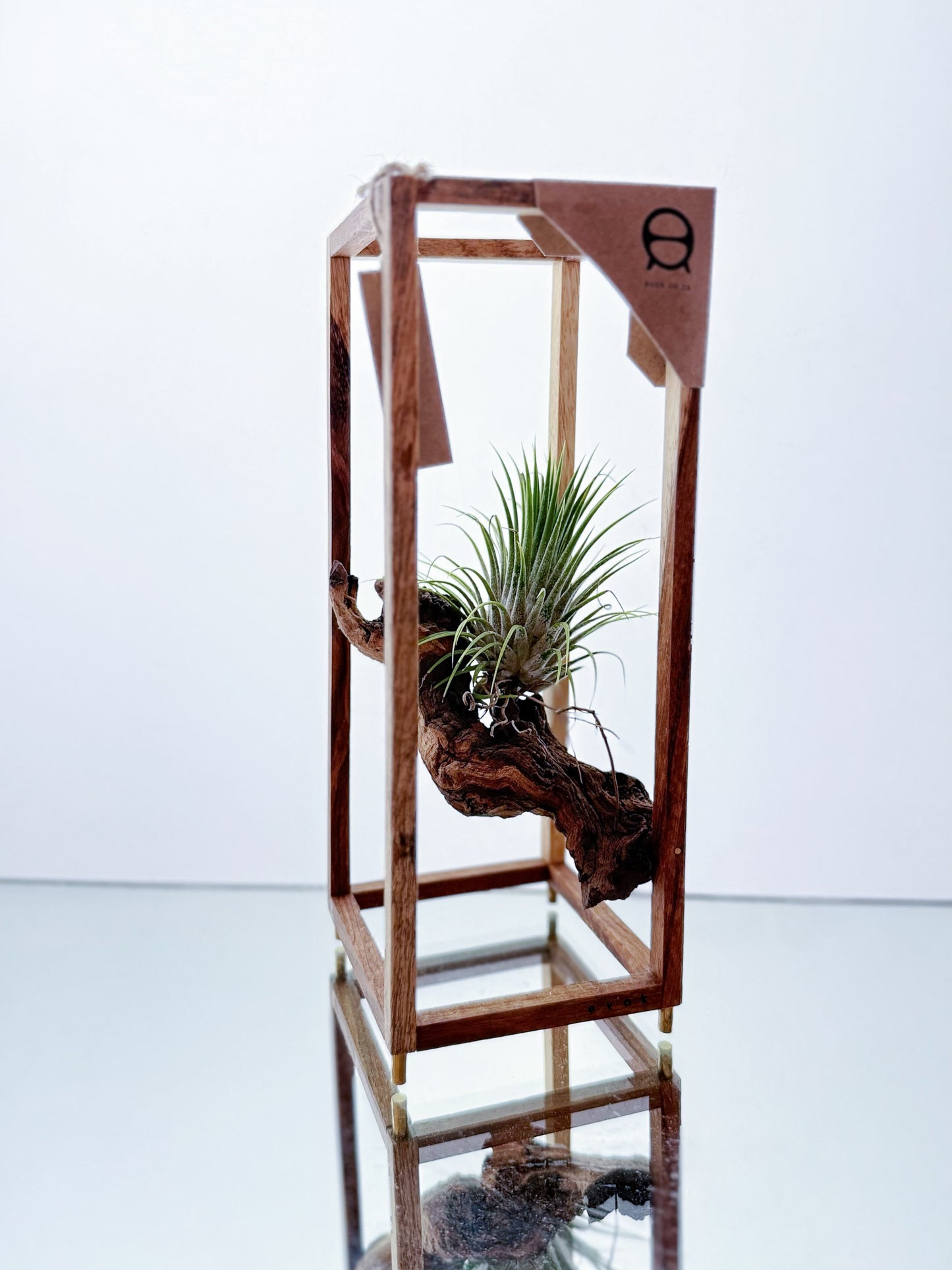 AirBonsai Medium