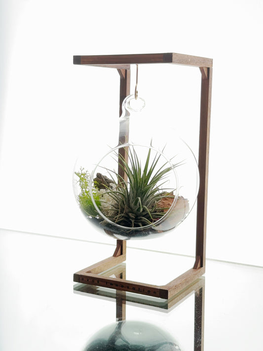 Hanging Terrarium