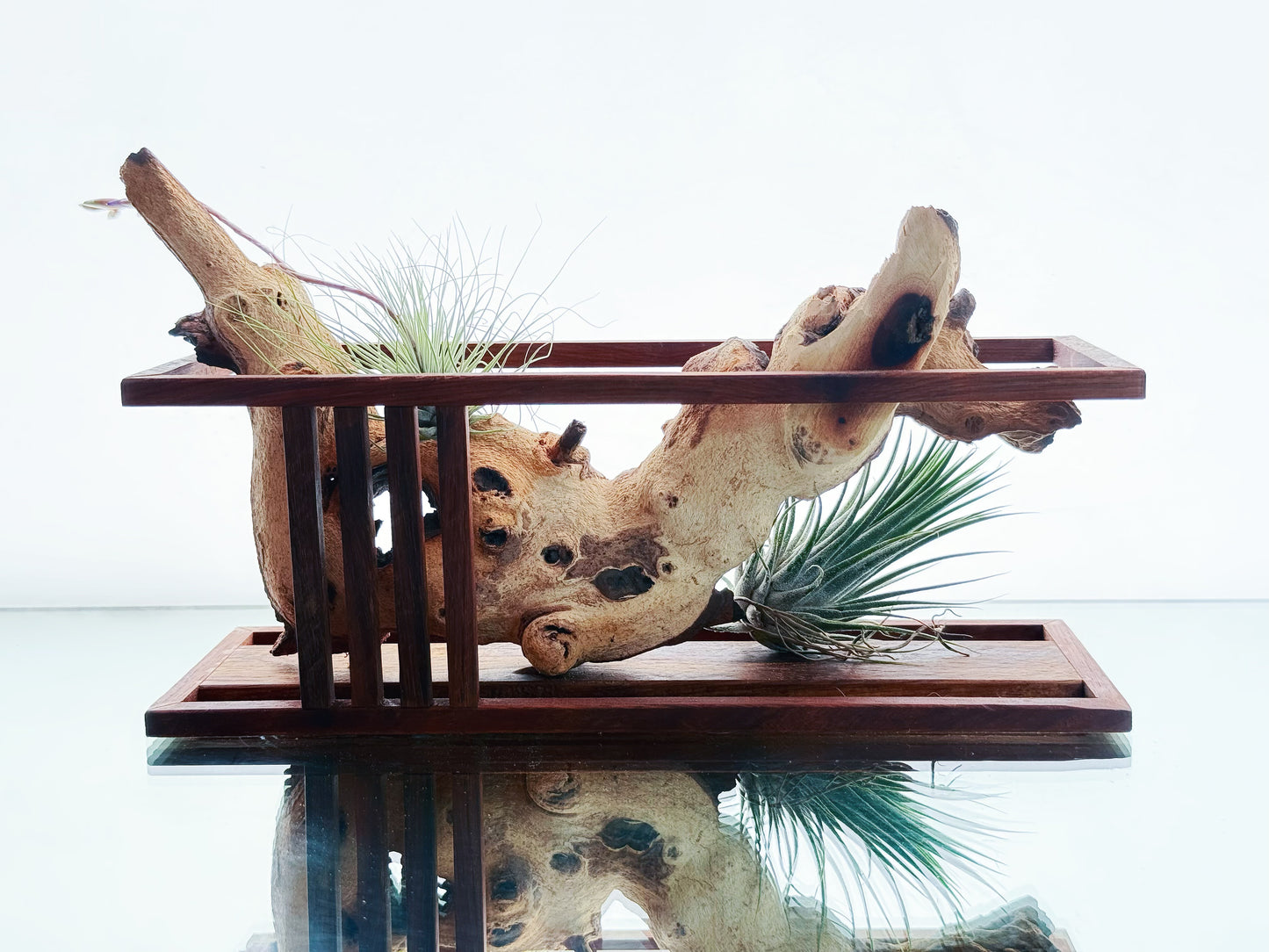 AirBonsai - Horizontal