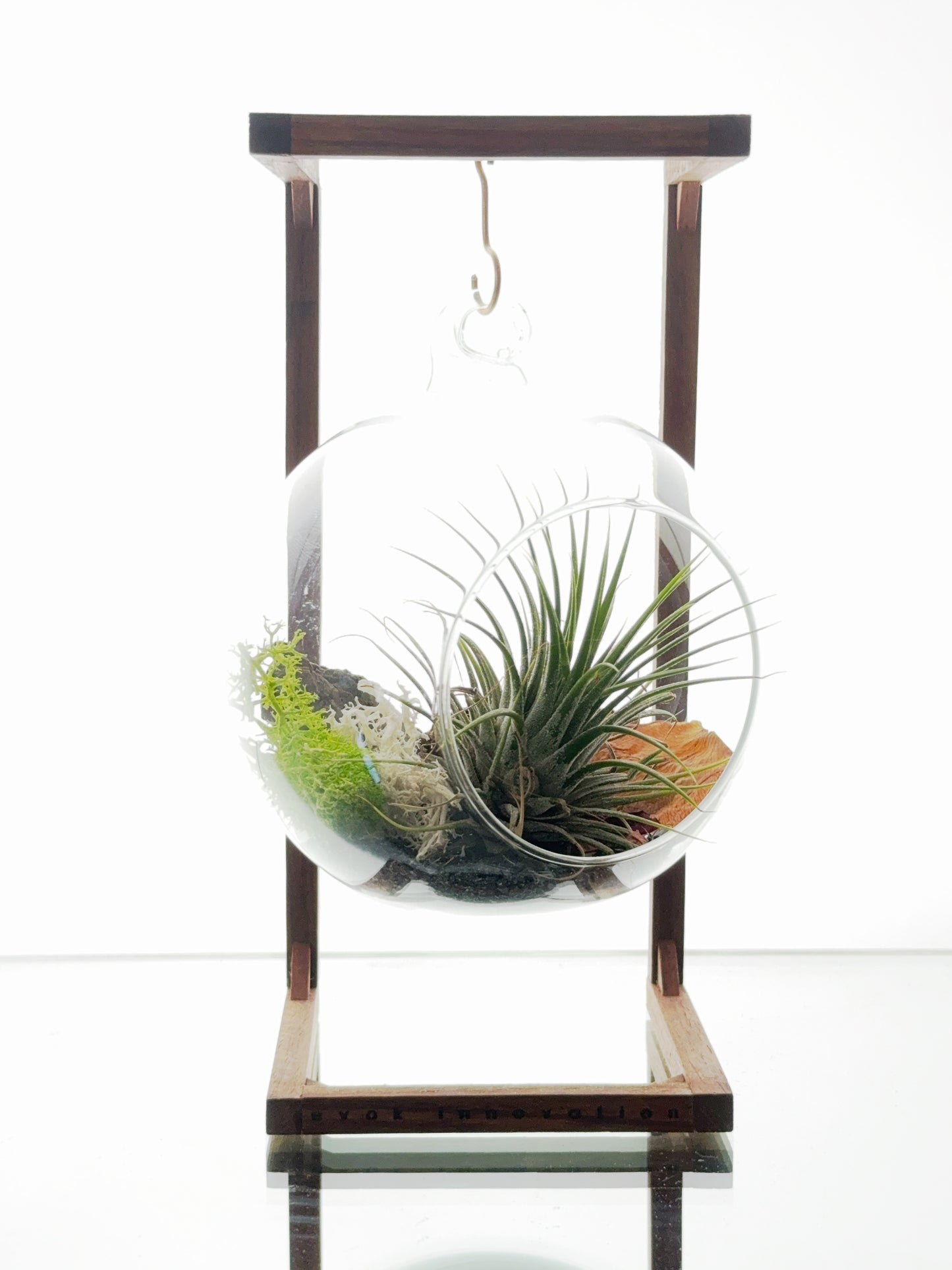 Hanging Terrarium