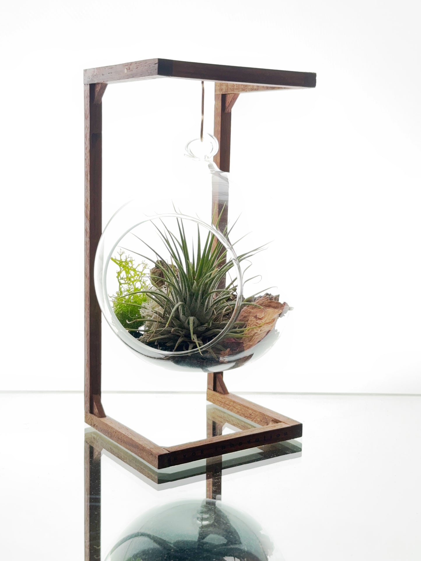 Hanging Terrarium