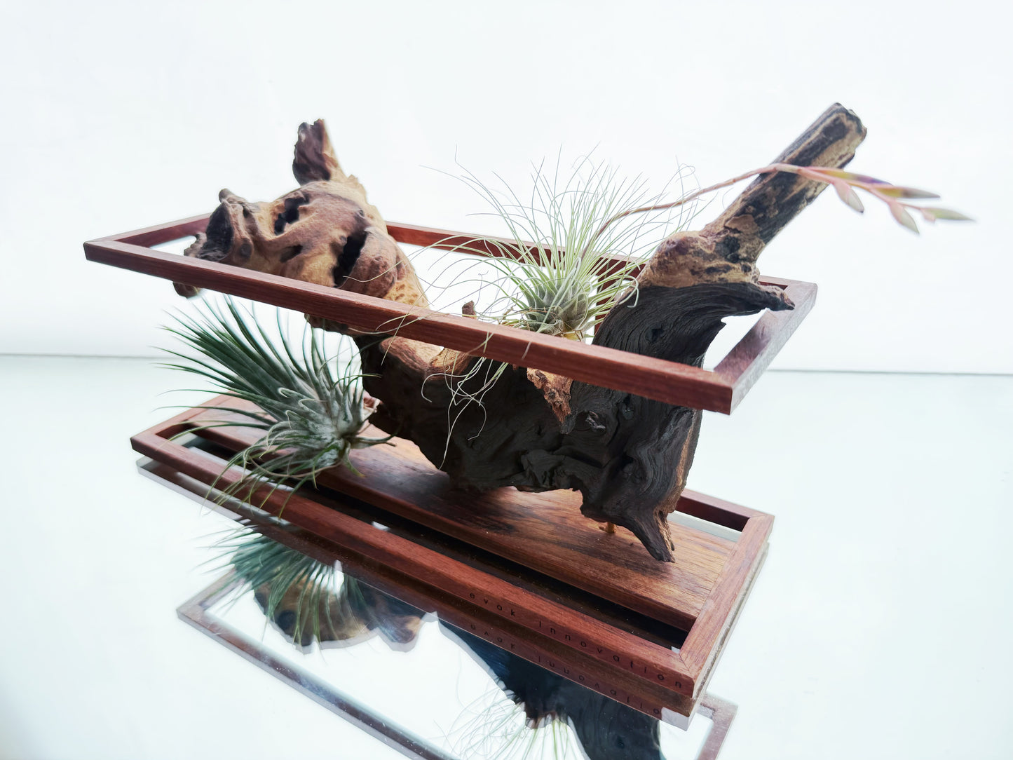 AirBonsai - Horizontal