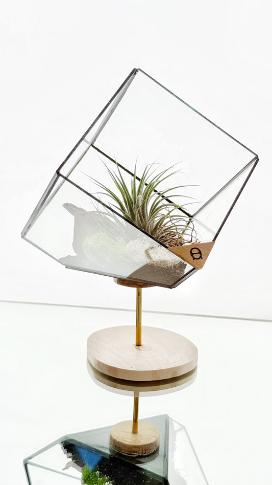 AirTerrarium - Diamond