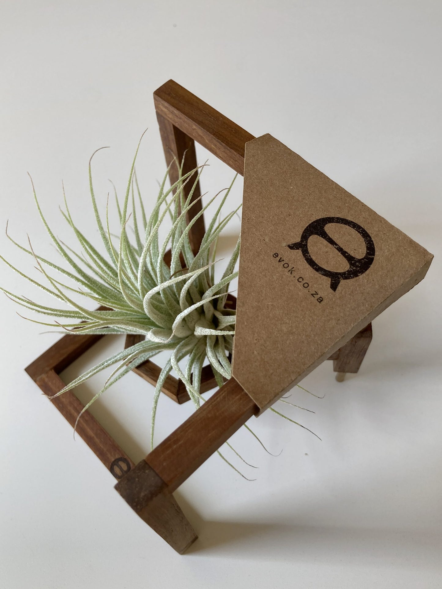 Zigzag stand