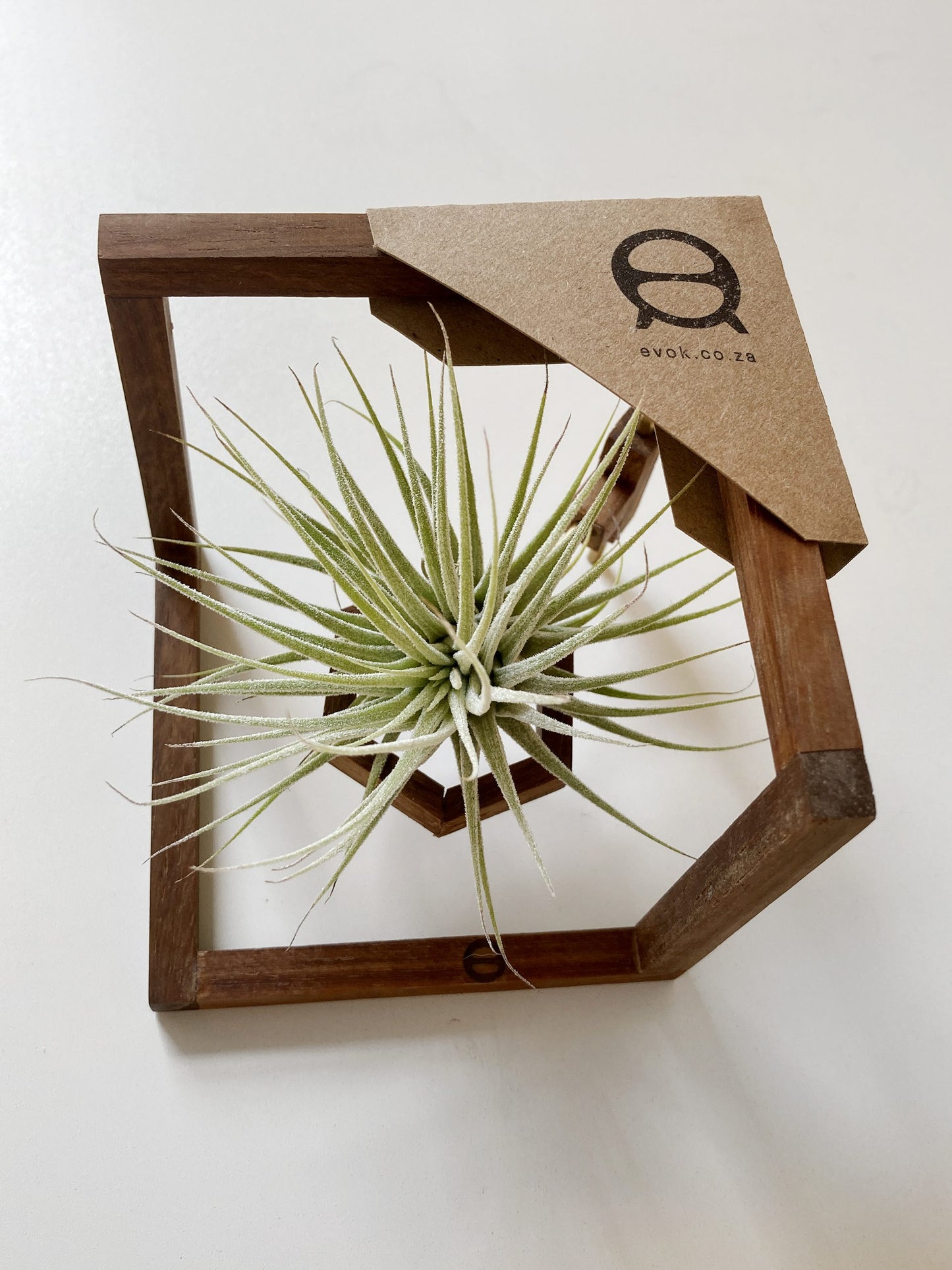 Zigzag stand