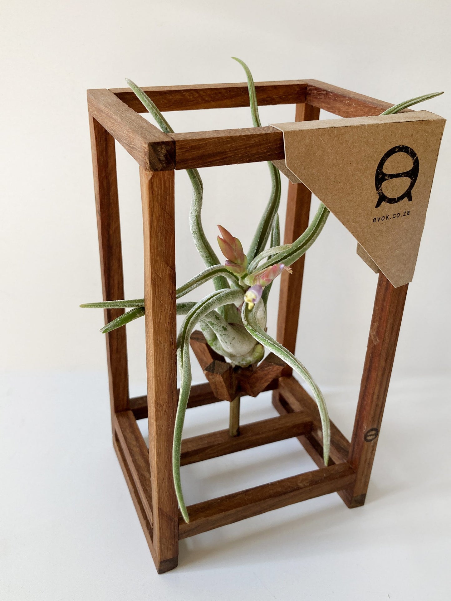 CrossHair Stand