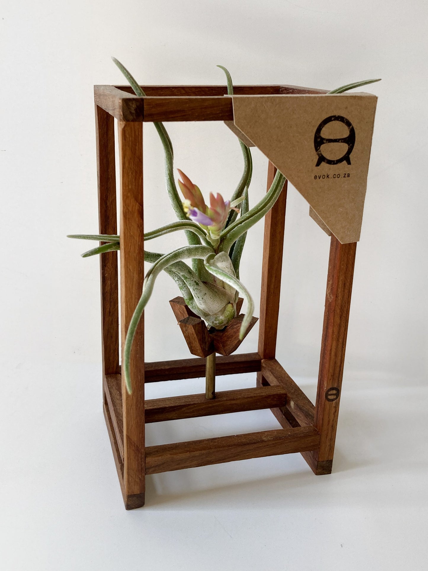 CrossHair Stand