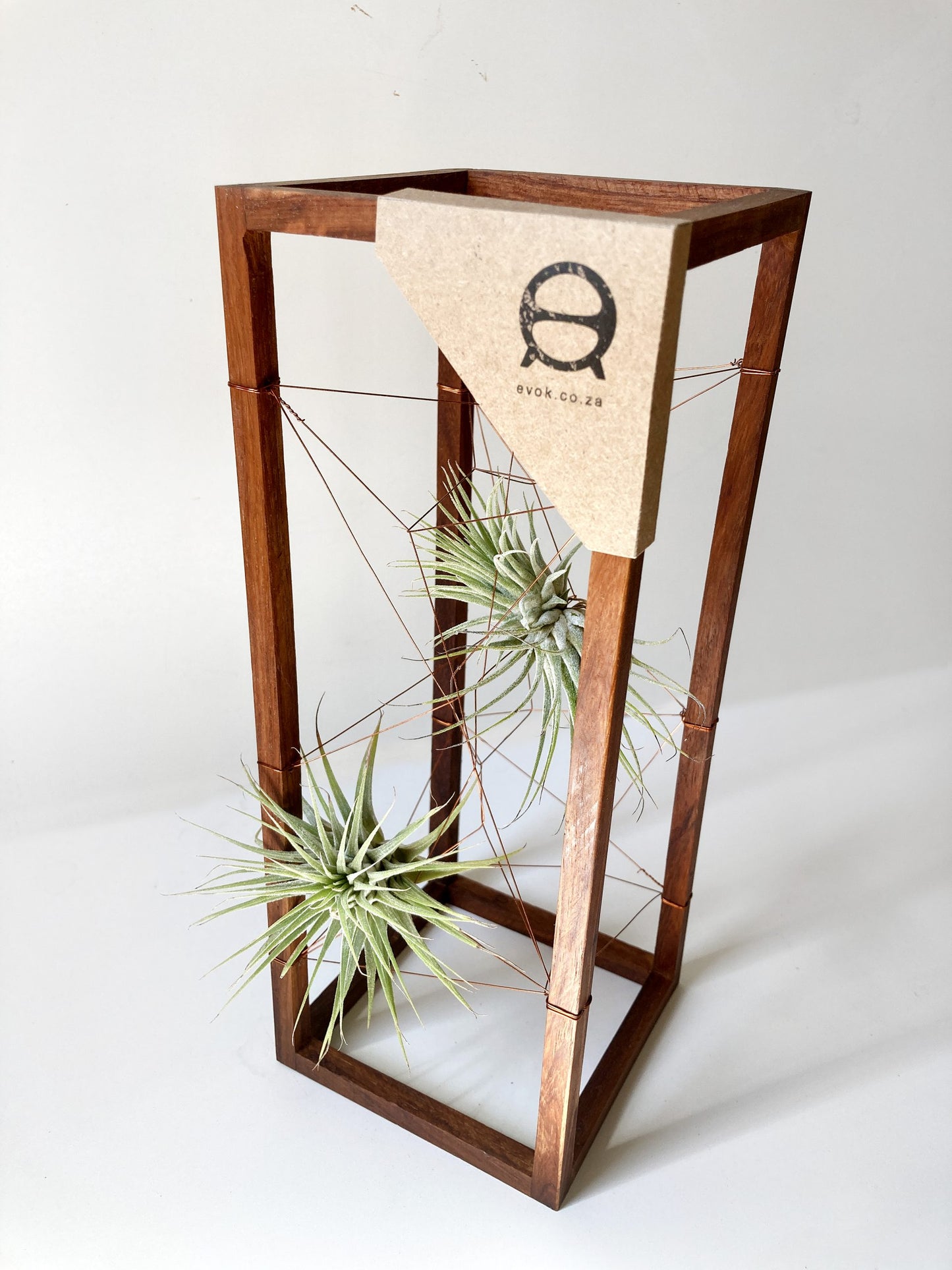 AirBonsai – Long Web
