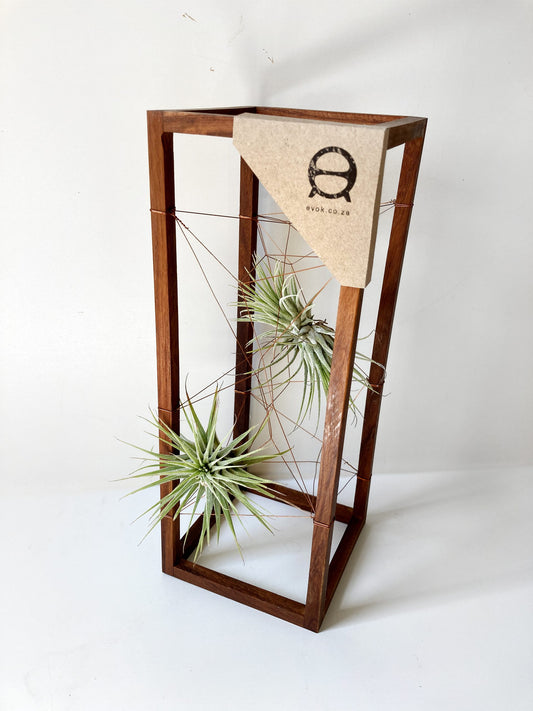 AirBonsai – Long Web