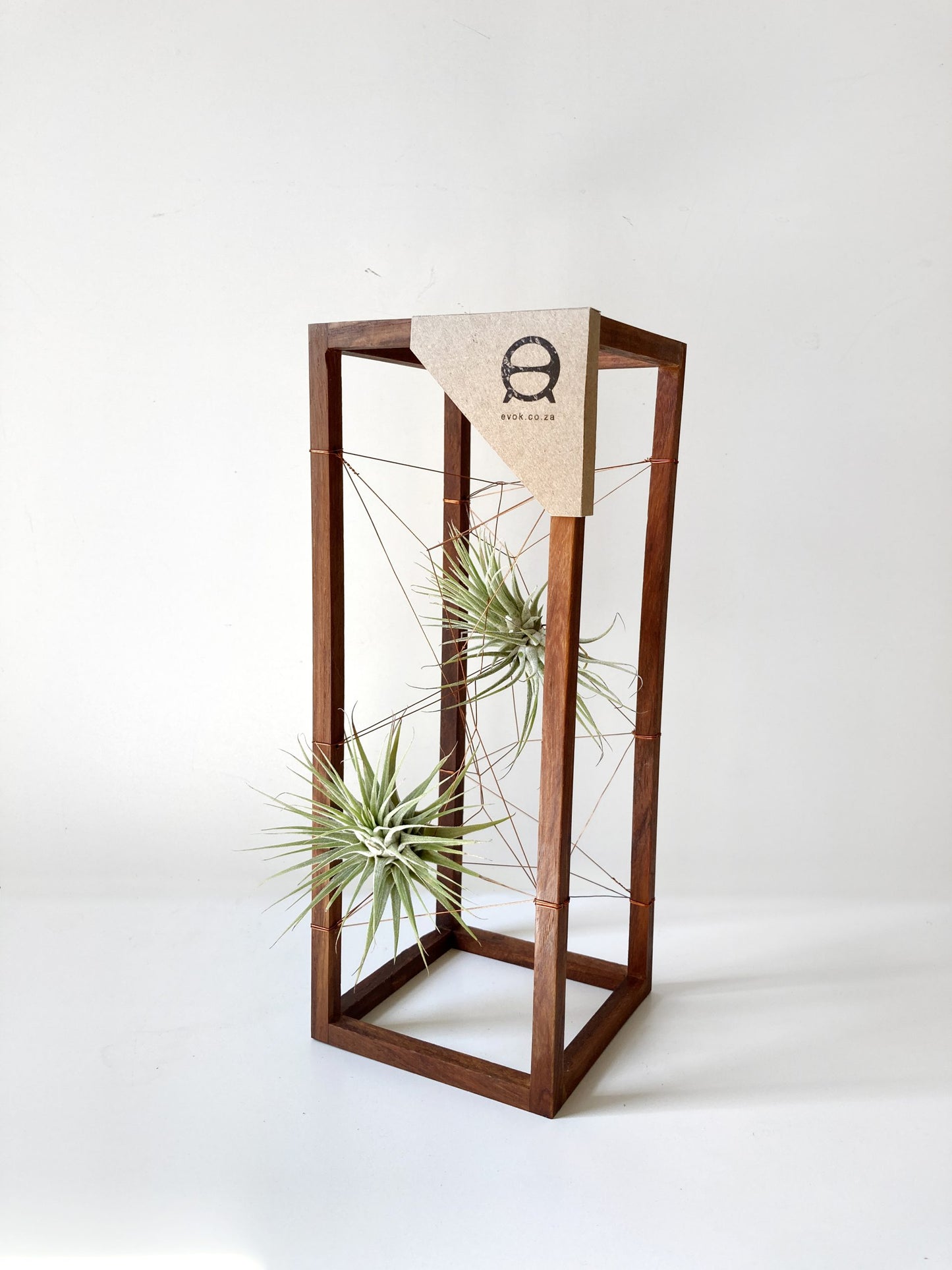 AirBonsai – Long Web