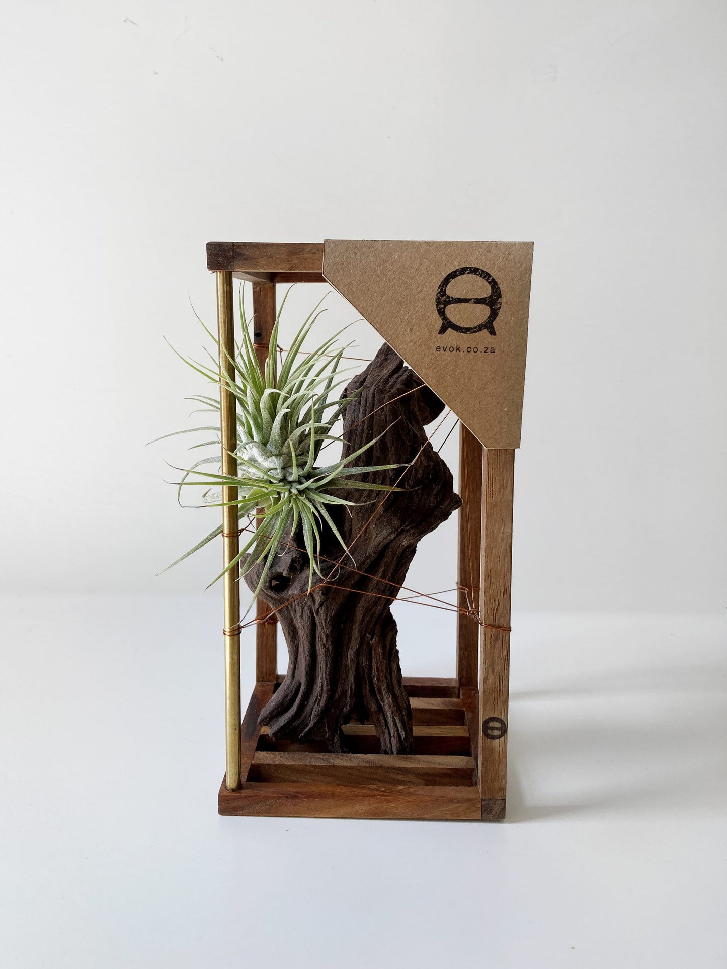 DriftWood Small