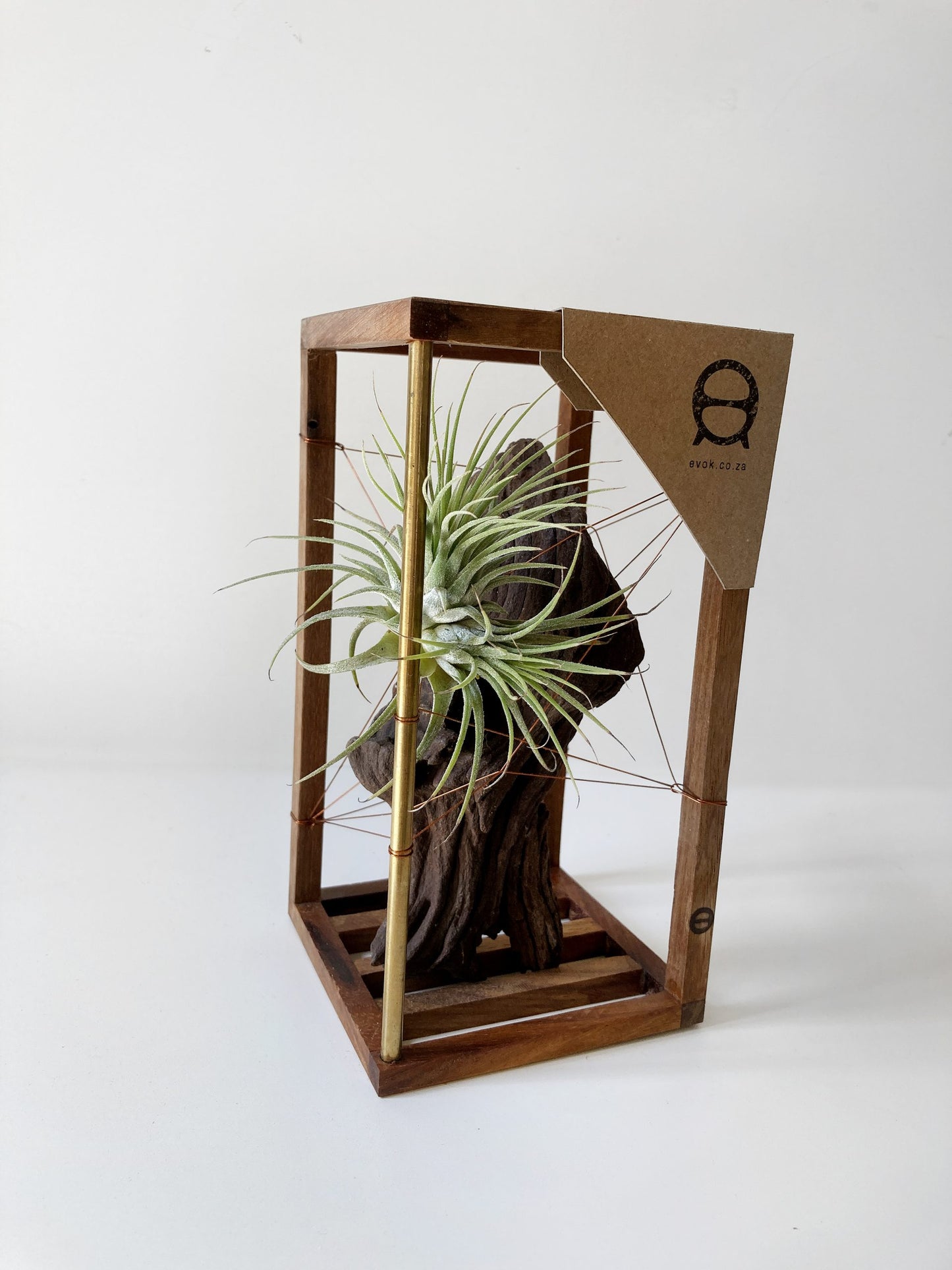DriftWood Small