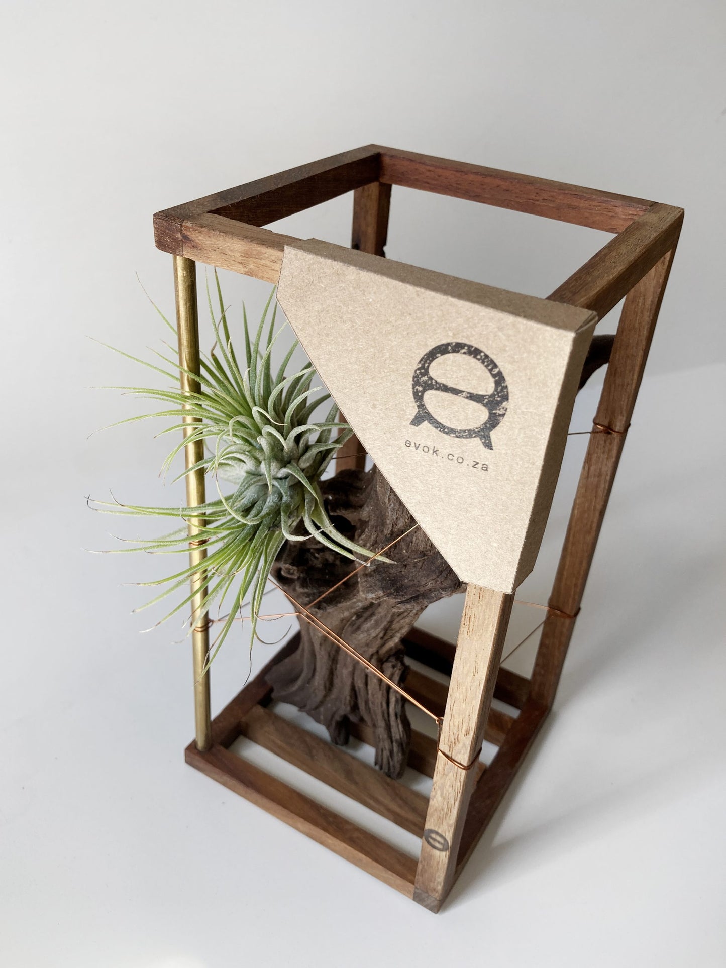 DriftWood Small
