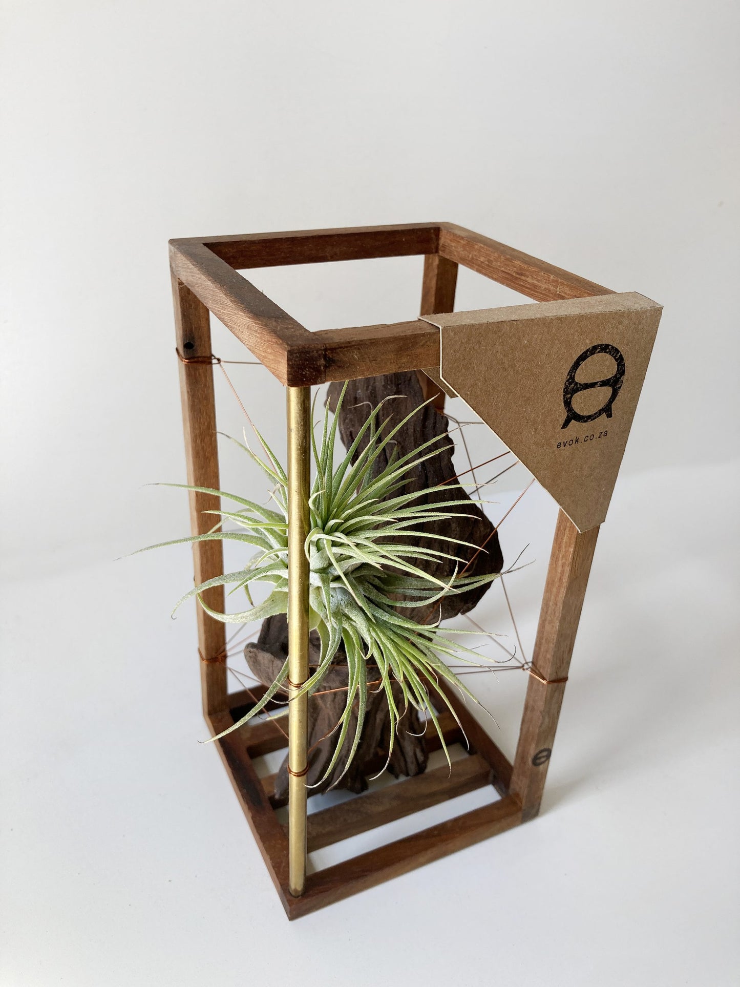 DriftWood Small