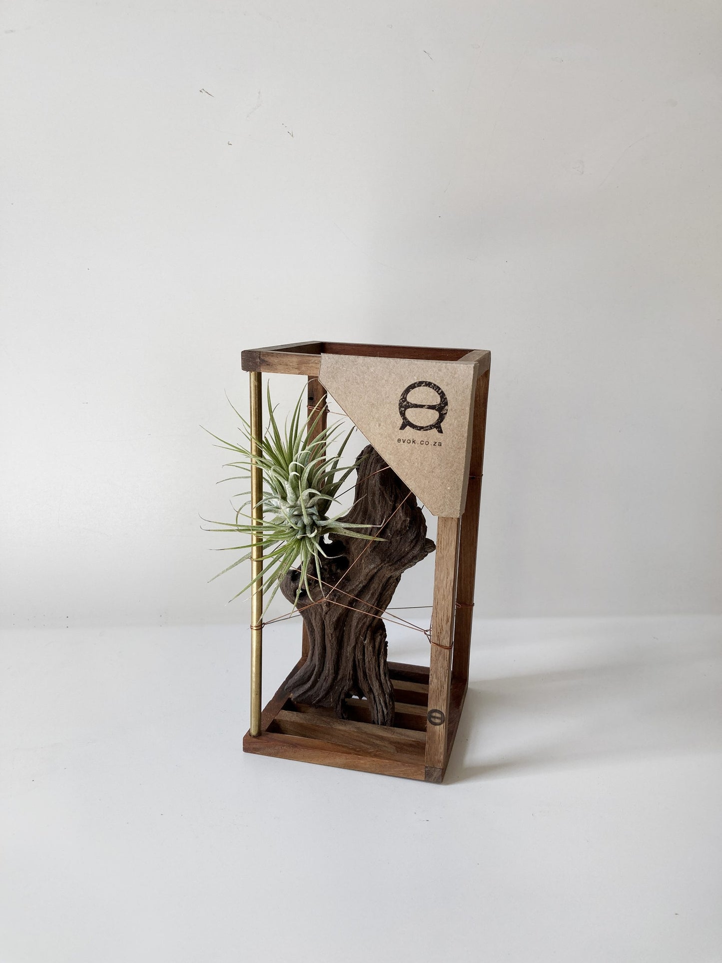 DriftWood Small