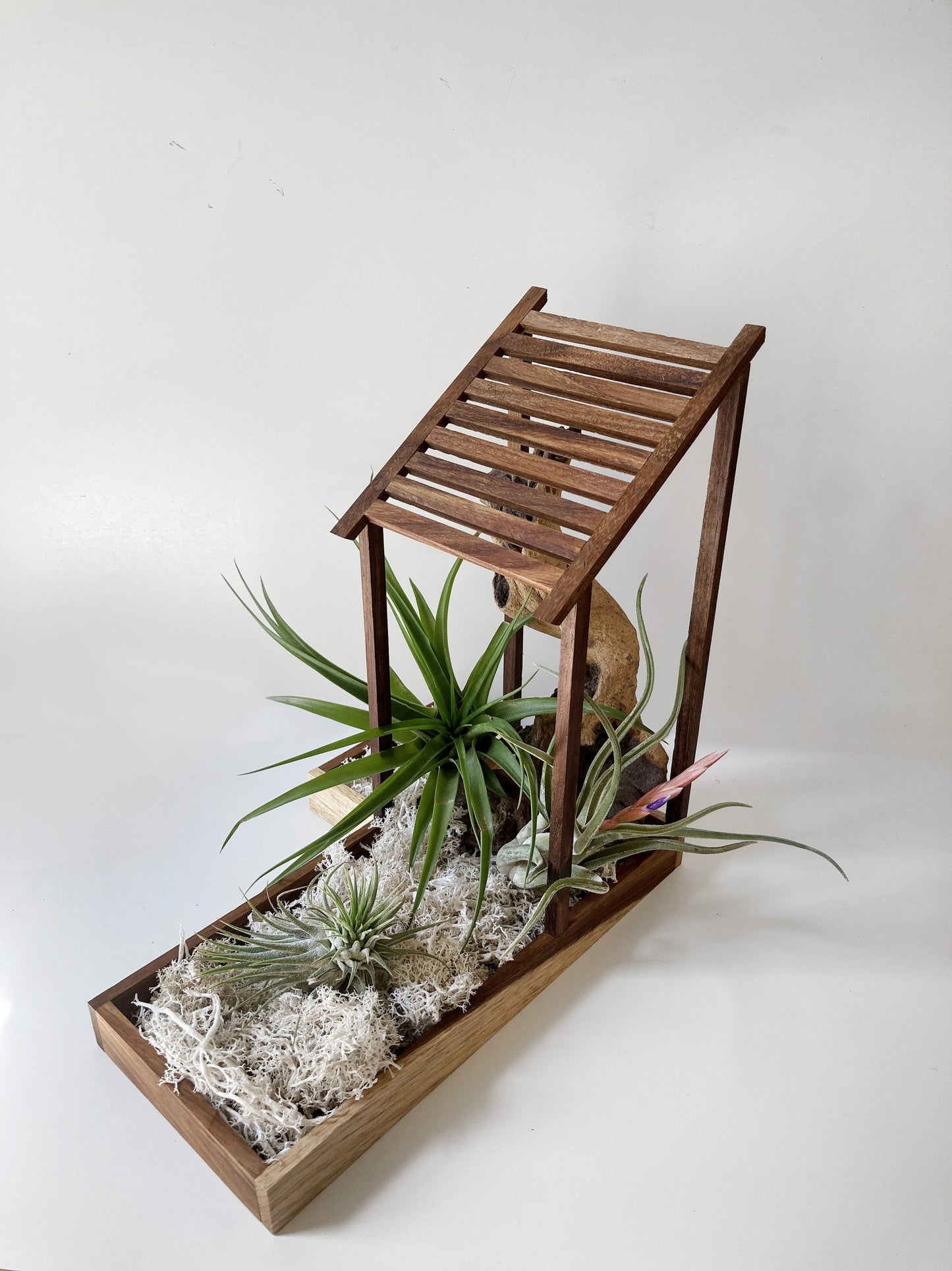 AirBonsai - Architectural Design