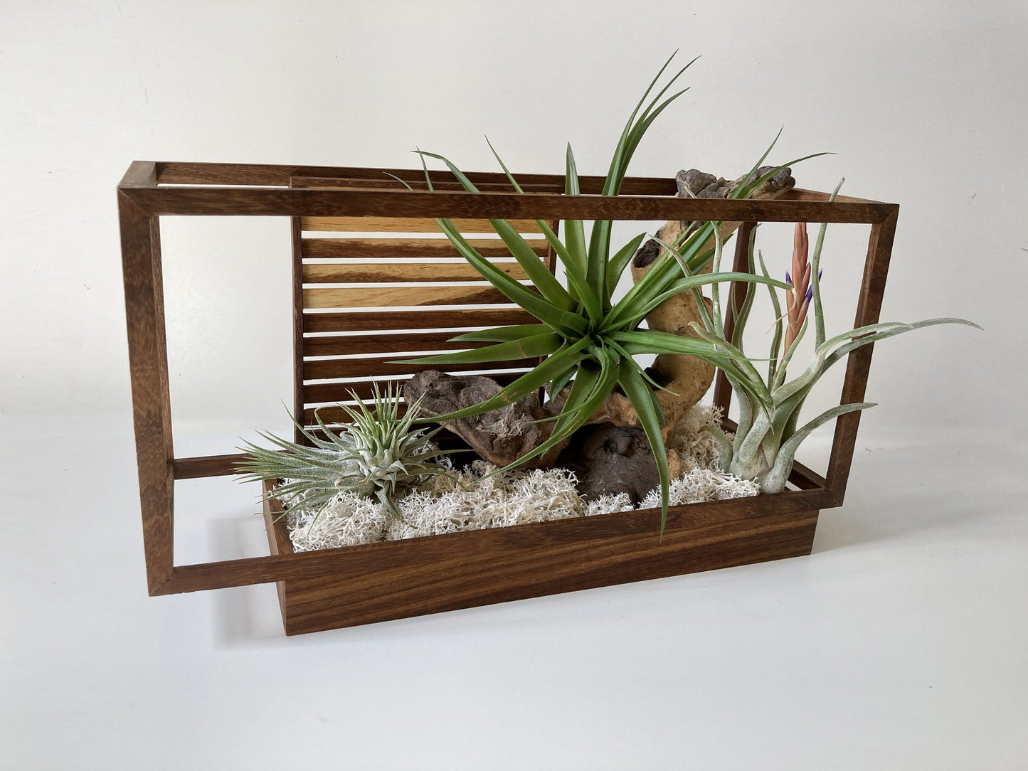 AirBonsai -Architect Zen