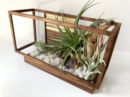 AirBonsai -Architect Zen