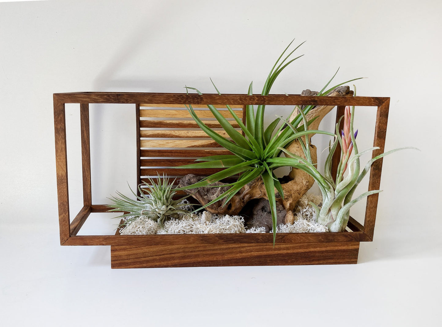 AirBonsai -Architect Zen