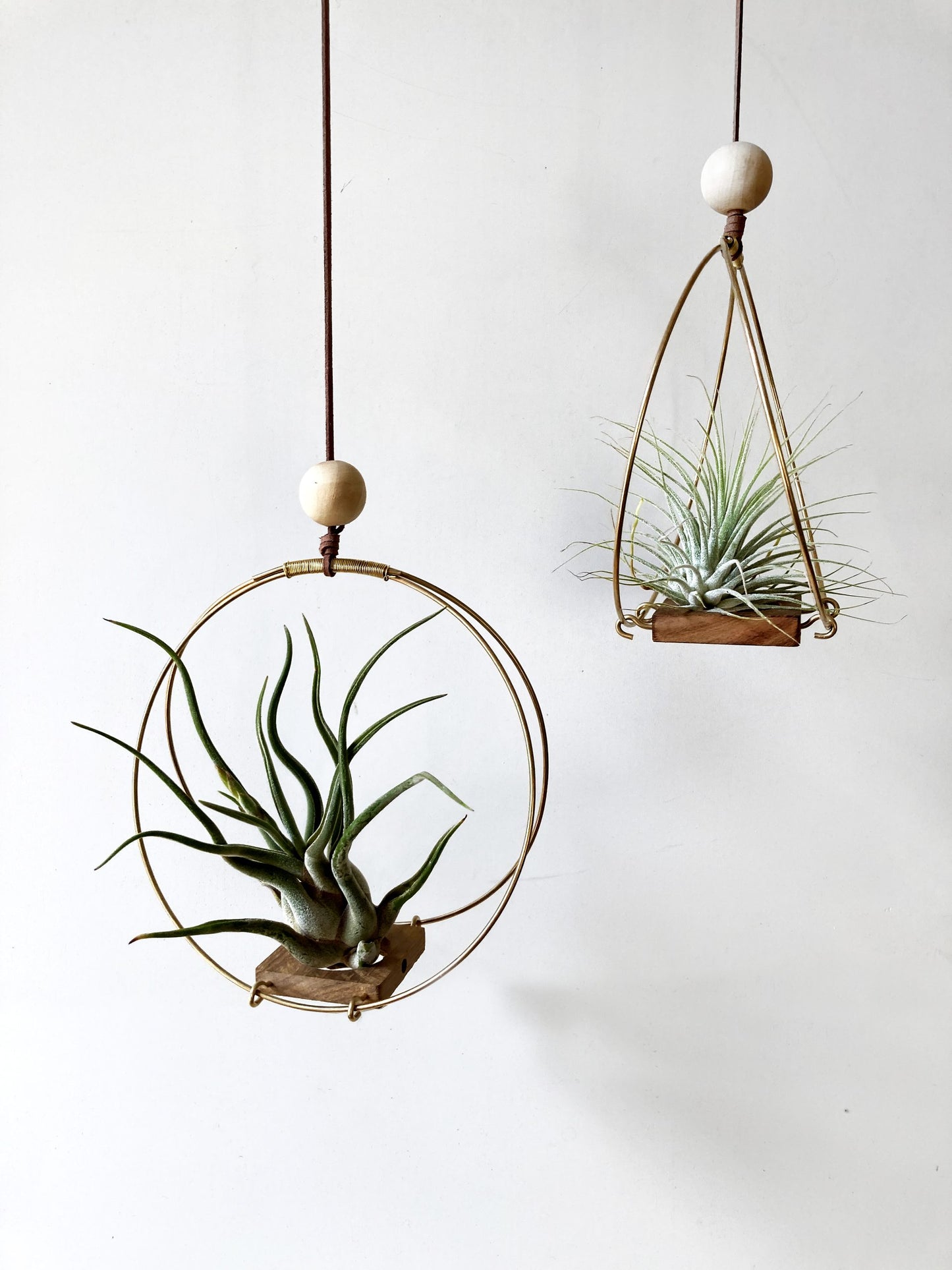 AirBonsai – Halo Float