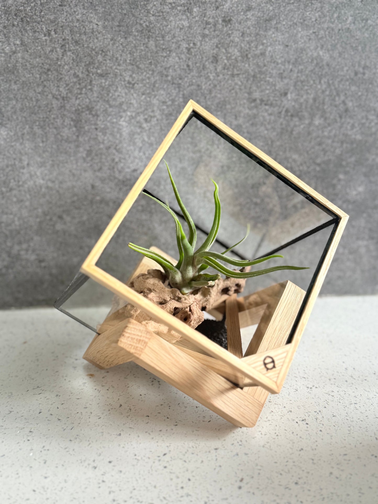 AirTerrarium diamond cube