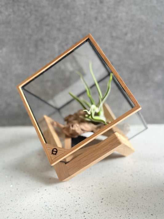 AirTerrarium diamond cube