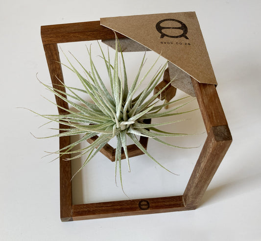 Zigzag stand