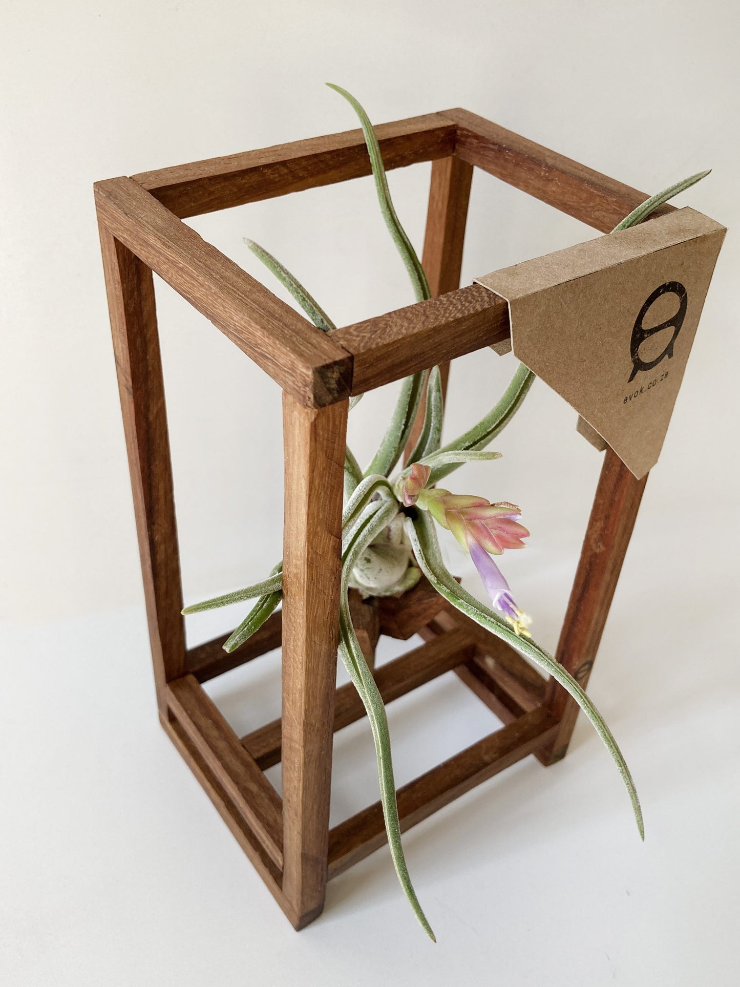 CrossHair Stand