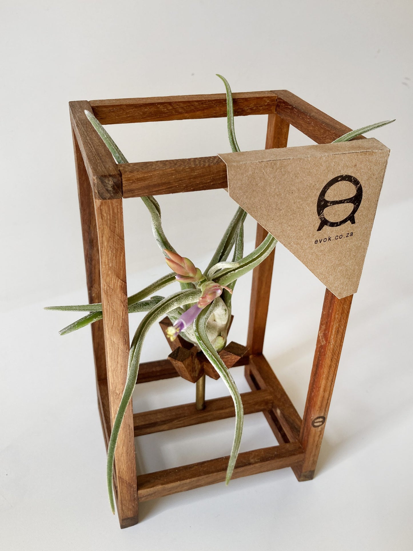 CrossHair Stand