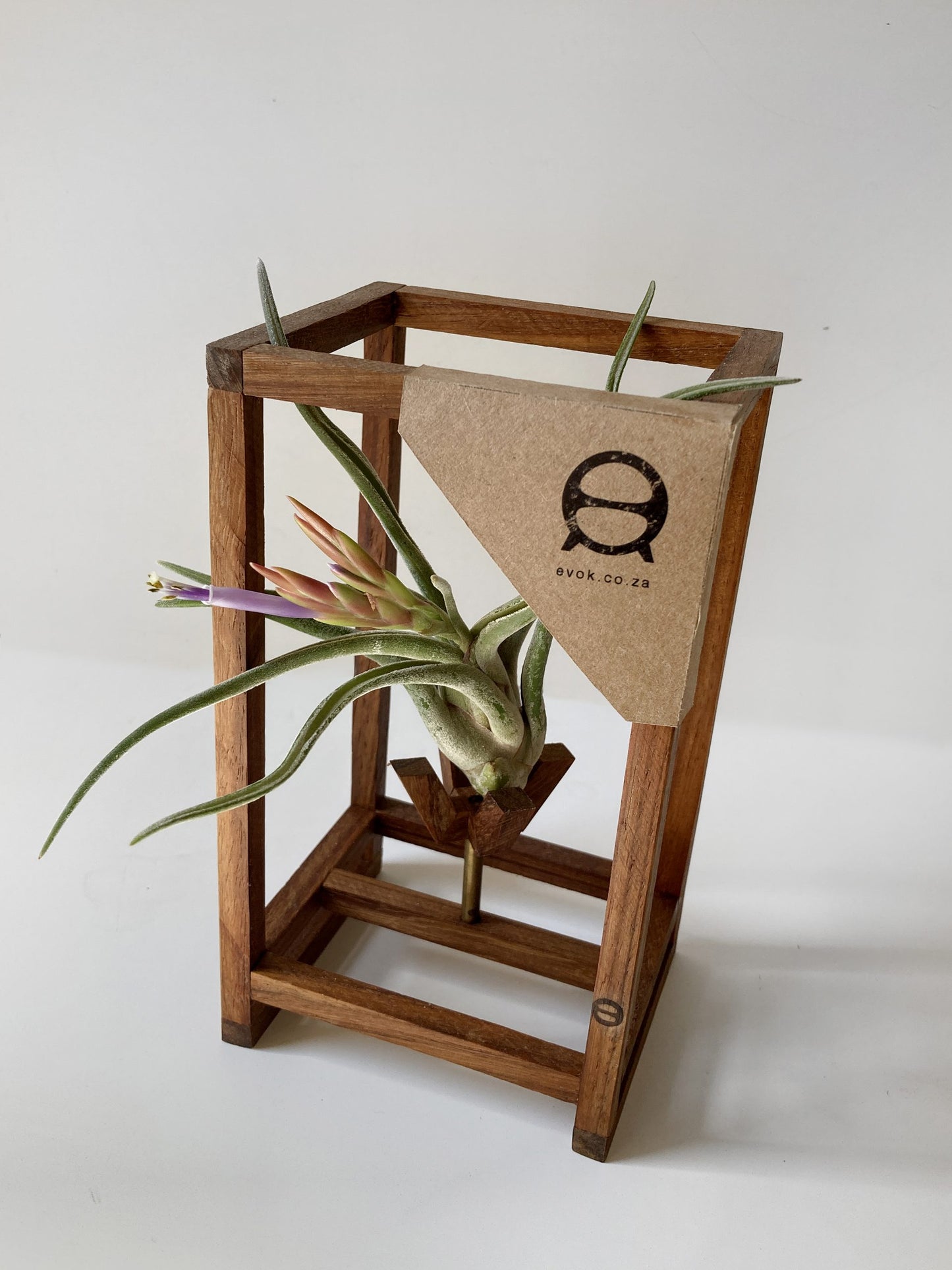 CrossHair Stand