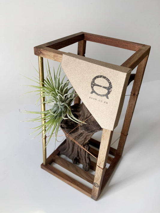 DriftWood Small