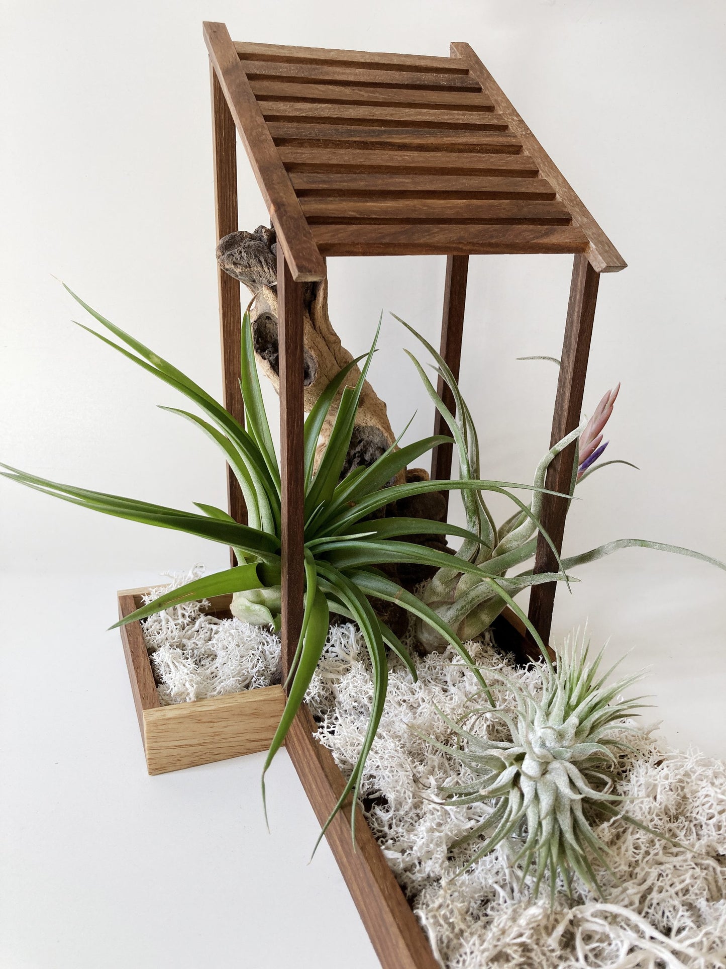 AirBonsai - Architectural Design