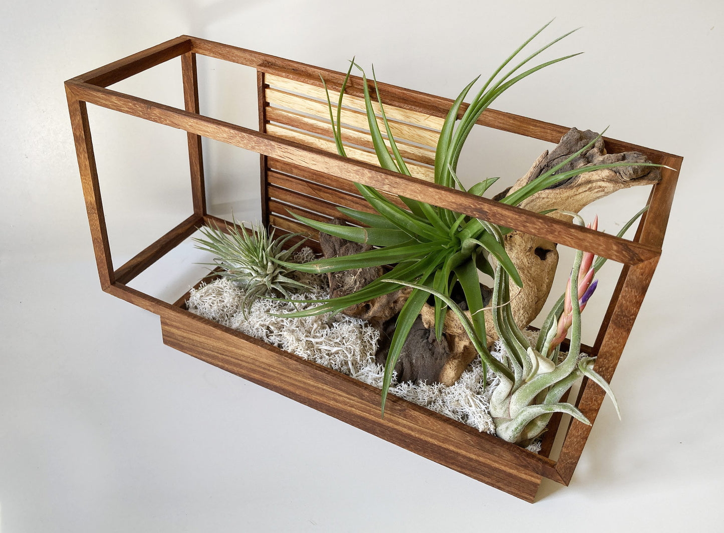 AirBonsai -Architect Zen