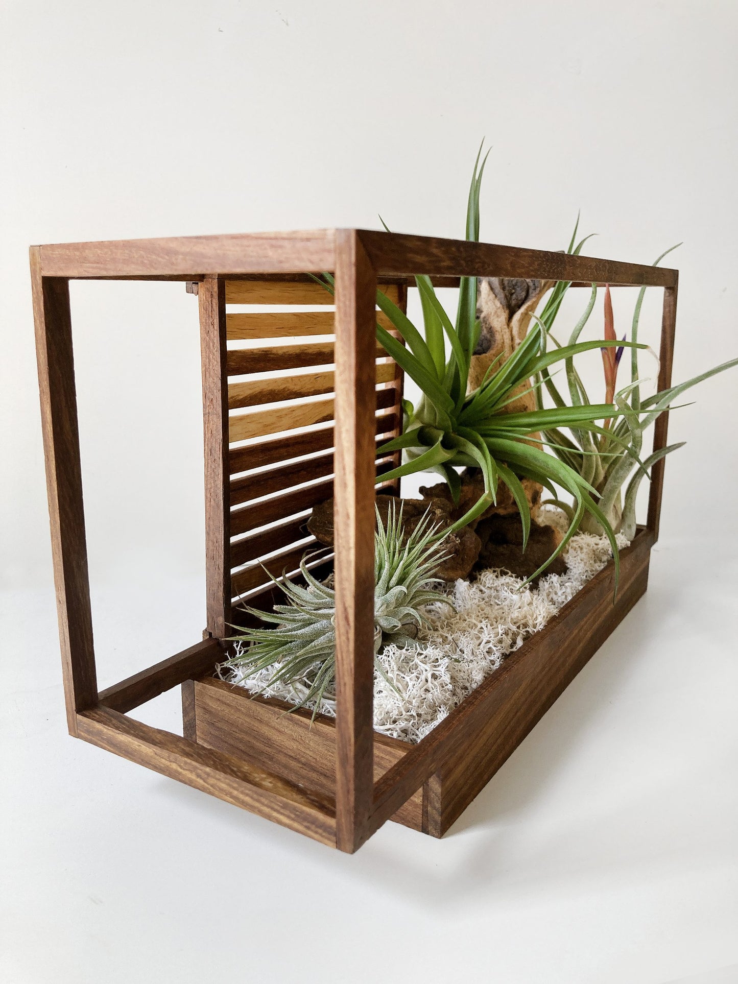 AirBonsai -Architect Zen