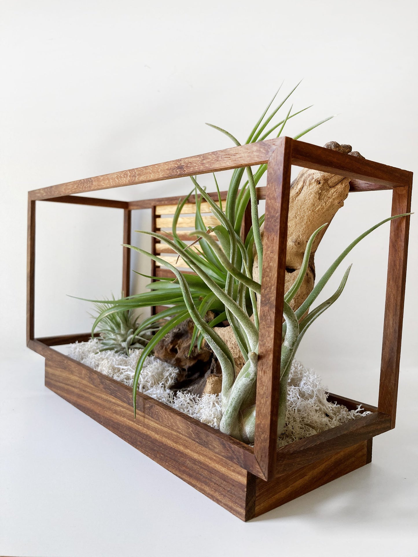 AirBonsai -Architect Zen